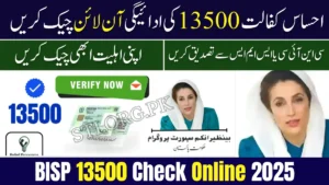 BISP 13500 Check Online 2025 – New Payment Update for November & CNIC Verification Guide BISP 13500 Check Online 2025 – New Payment Update for November & CNIC Verification Guide