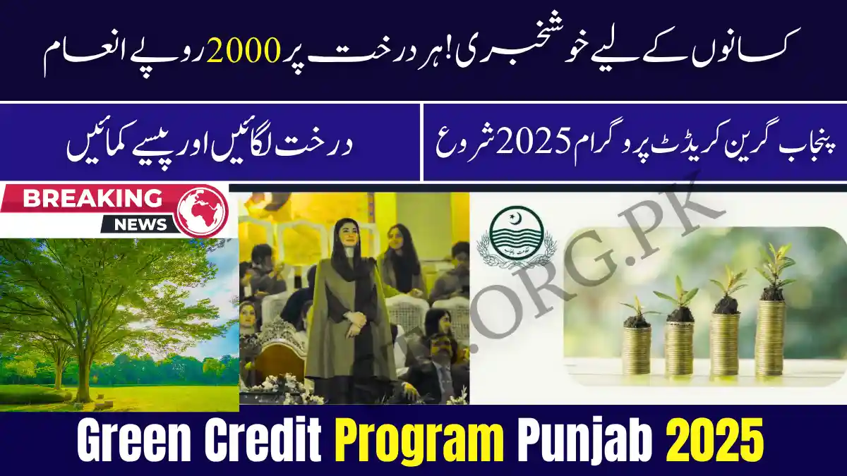 Green Credit Program Punjab 2025