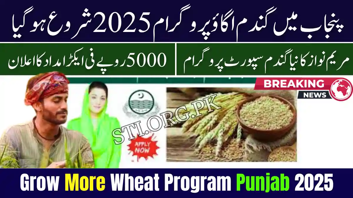 Grow More Wheat Program Punjab 2025