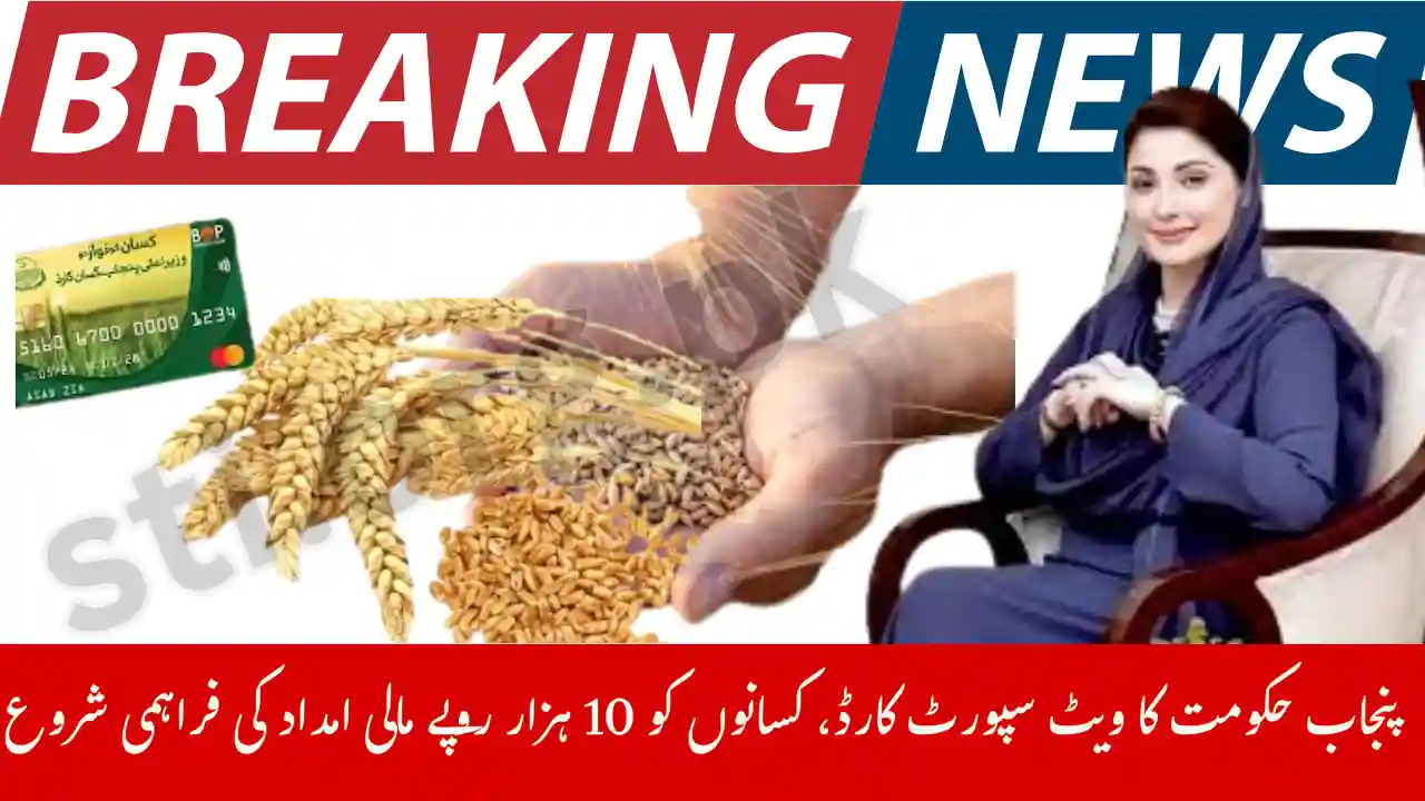Punjab Wheat Support Card Financial Help