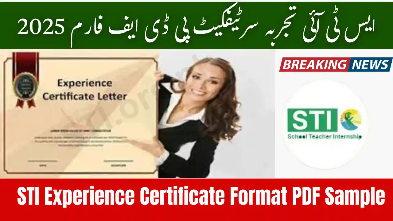 STI Experience Certificate Format