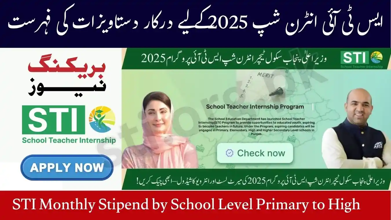 STI Monthly Stipend by School Level (Primary to High)