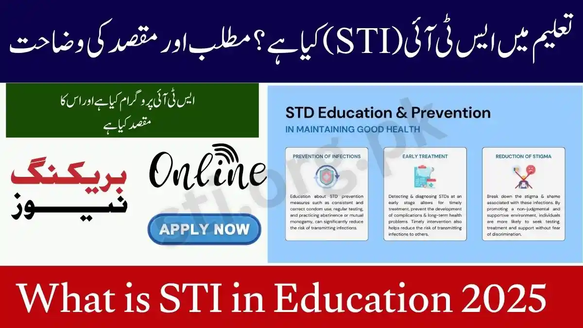 What is STI in Education