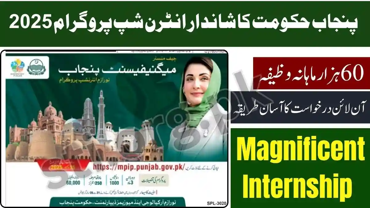 Punjab Govt Launches Magnificent Internship Program 2025