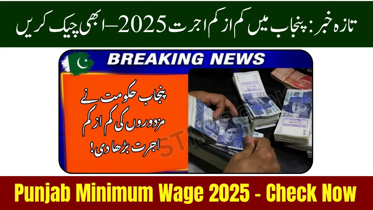 Punjab Minimum Wage 2025