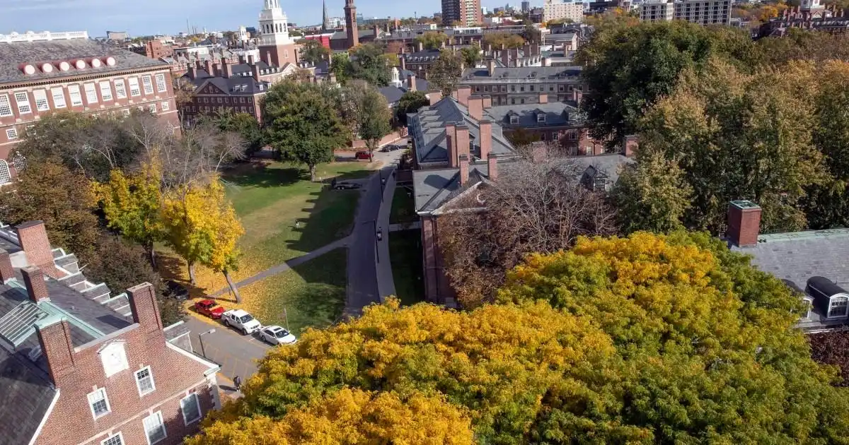 How to Study for Free at World’s 9th Best University – Complete Guide