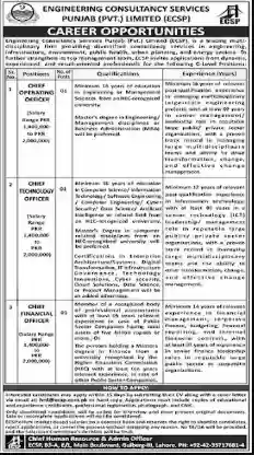 Engineering Consultancy Services Punjab (PVT.) Limited (ECSP)