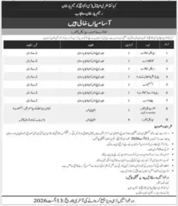 Benazir Bhutto Hospital Rawalpindi Jobs 2026 Online Apply