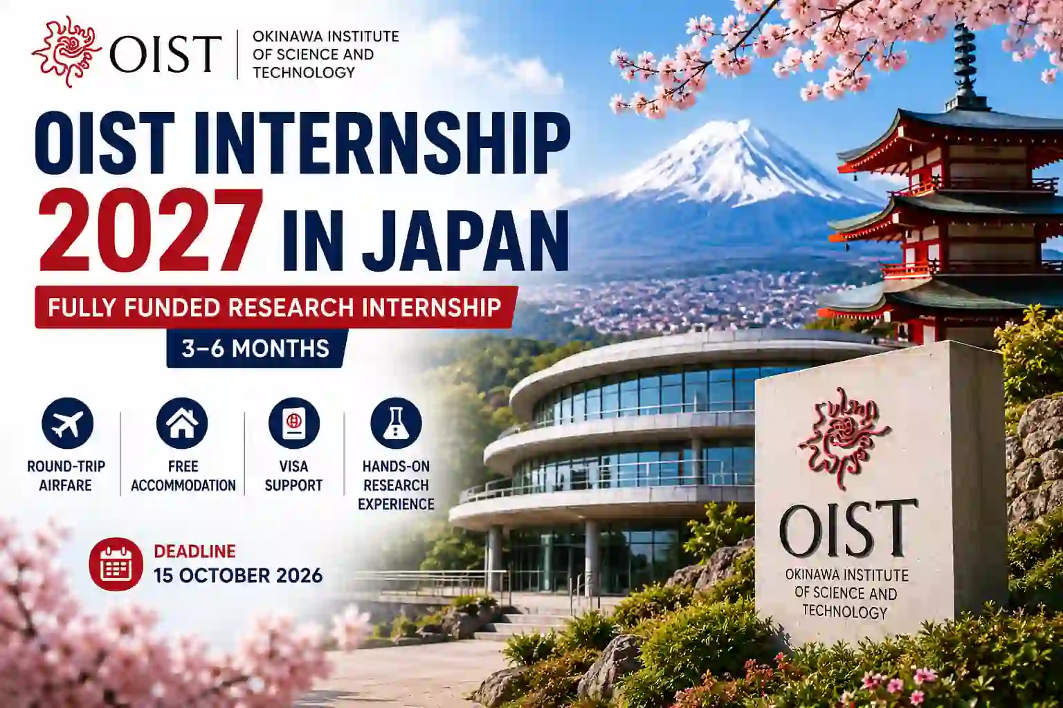 OIST Internship 2027