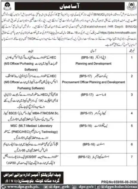 BINUQ Jobs 2026 in Balochistan - Online Apply Deputy Director Vacancies