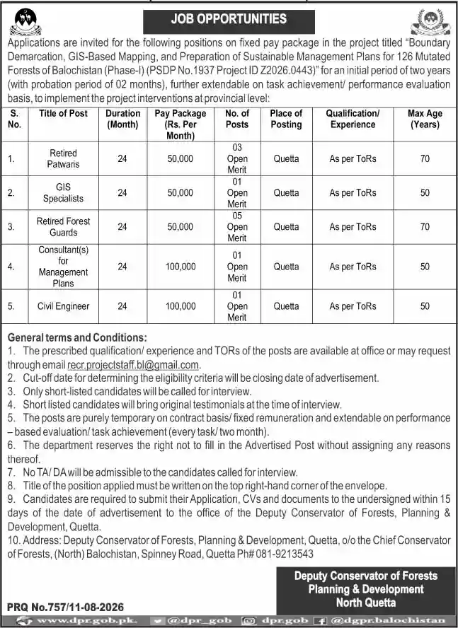 Planning & Development Department Jobs 2026 | Online Apply, Eligibility, Last Date & Latest Vacancies