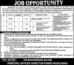 University of Agriculture Faisalabad UAF Jobs 2026 Online Apply