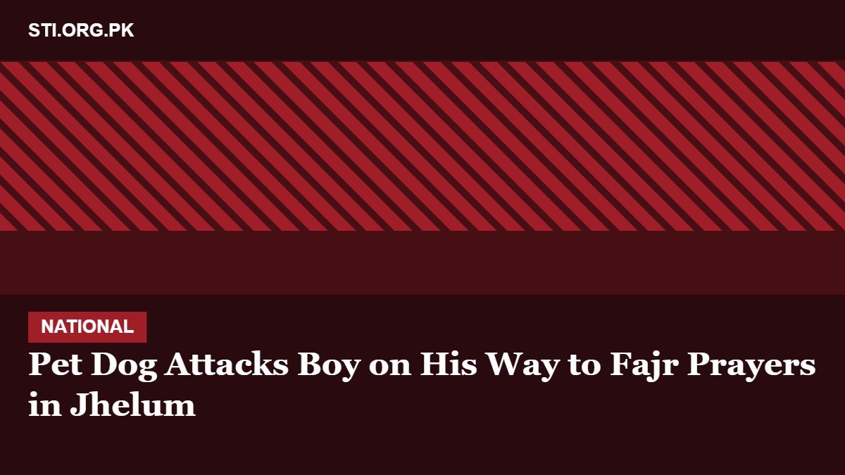 Pet Dog Attacks Boy on His Way to Fajr Prayers in Jhelum Pet Dog Attacks Boy on His Way to Fajr Prayers in Jhelum