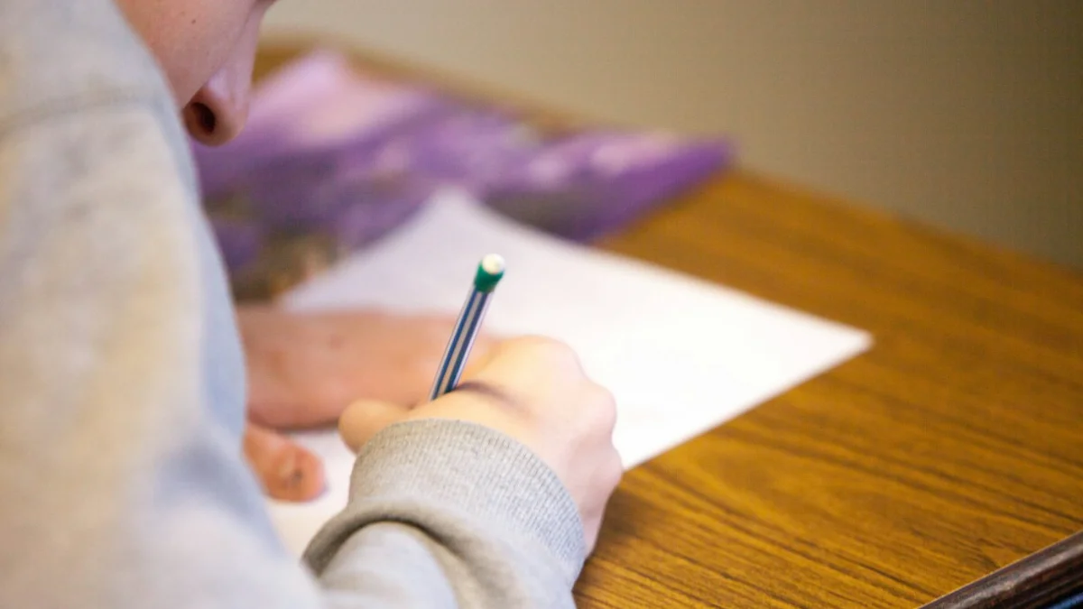 Punjab first-term assessment 2026 for grades 1 to 8