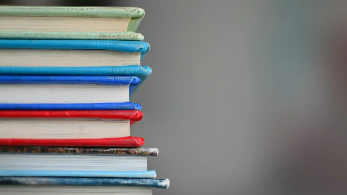 Punjab new syllabus with fewer textbooks for school students